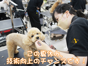 スキルアッププログラム♪